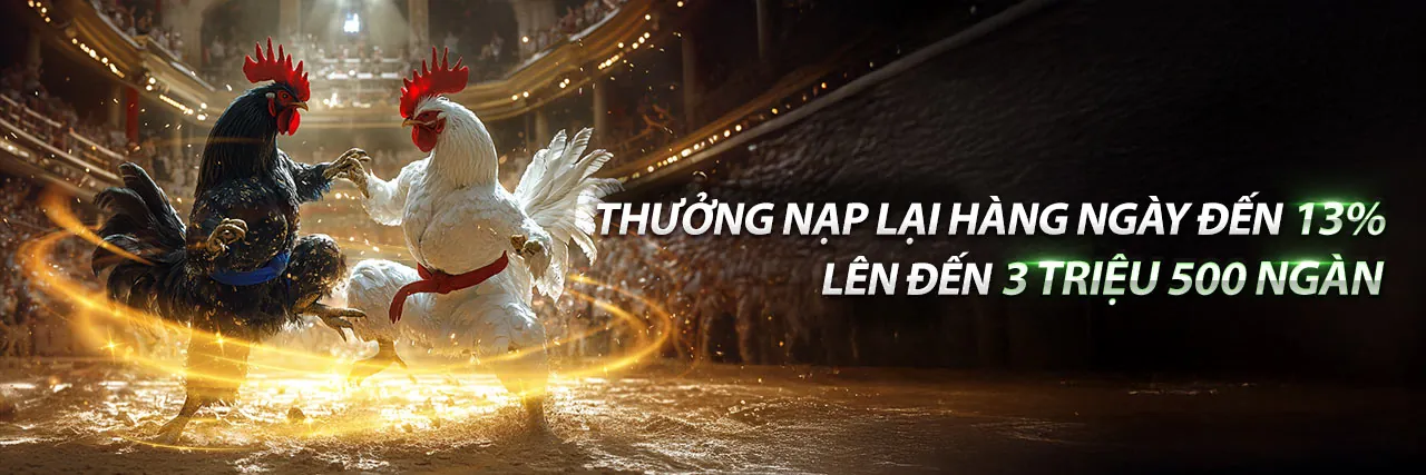 Hình ảnh tổng quan nền tảng bon68 win